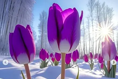 花