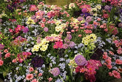 Blumen jigsaw puzzle
