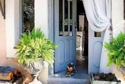 perro