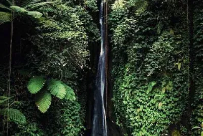 Catarata