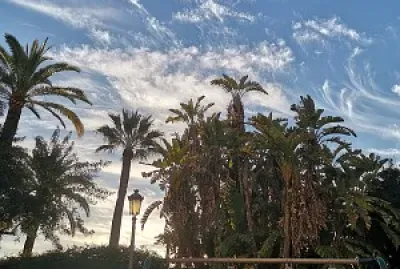 amanecer
