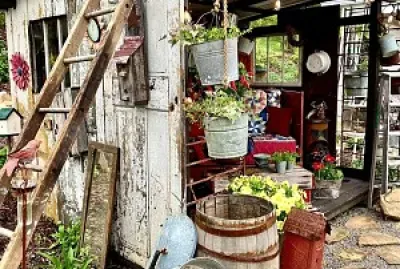 Venta de plantas