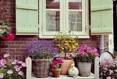 ventana