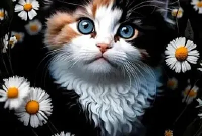 gatito-margaritas