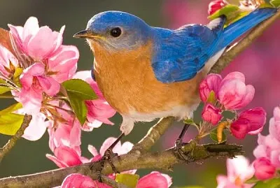 imagem jigsaw puzzle