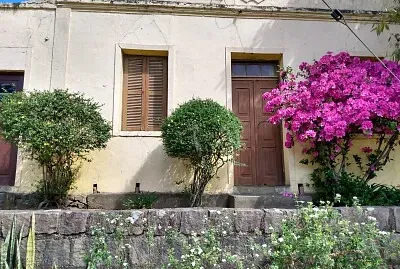 primavera