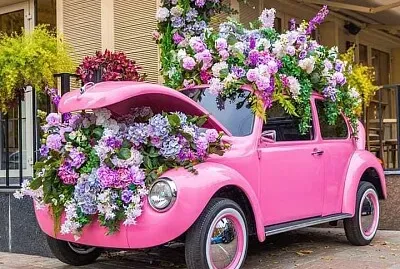 flores