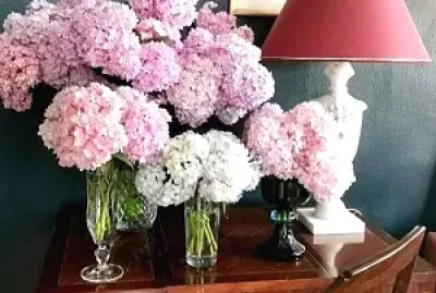flores