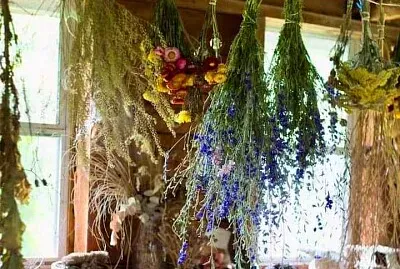 flores