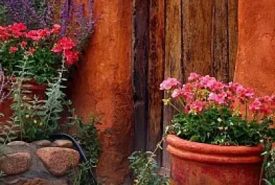 flores