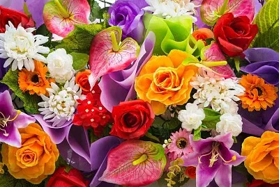 Fleurs de toutes les couleurs jigsaw puzzle