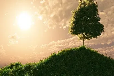 arbol