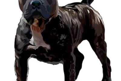 PRESA CANARIO