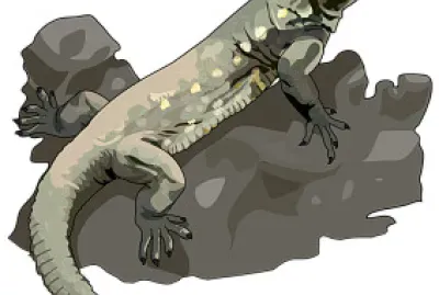 LAGARTO GIGANTE DEL HIERRO