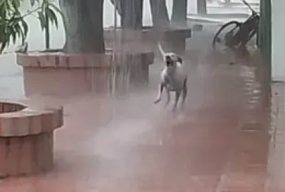 lluvia