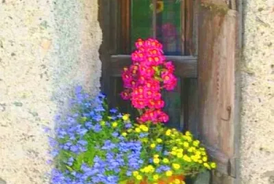 ventana
