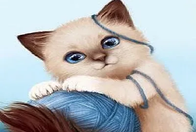 tierno