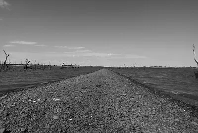 Terraplén de la Vía del Tren Abandonada