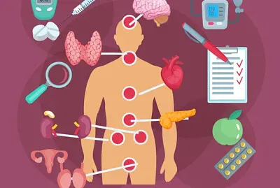 endocrino