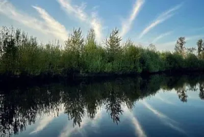 Reflejo