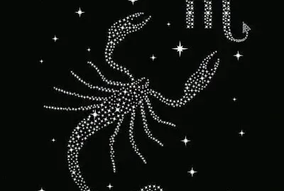 פאזל של SCORPIONE