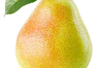 PERA VERA
