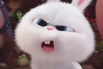 Animación