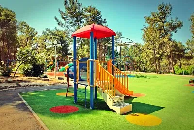 irinaguydan2018 jigsaw puzzle