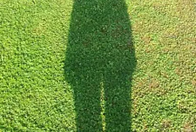 פאזל של IO ELLY  1