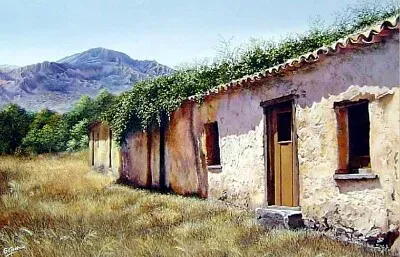 Campo