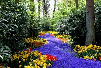 Bosque jigsaw puzzle