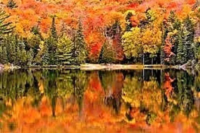 autumn #288