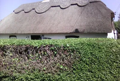 house jigsaw puzzle
