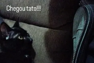 Teste 1