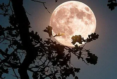 Moon