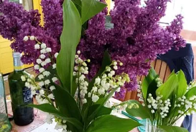 Bouquet de printemps