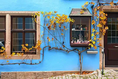 509.- BALCON DE SERENATAS