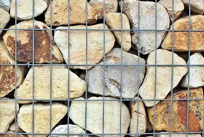 Muro