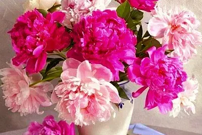 Fiori