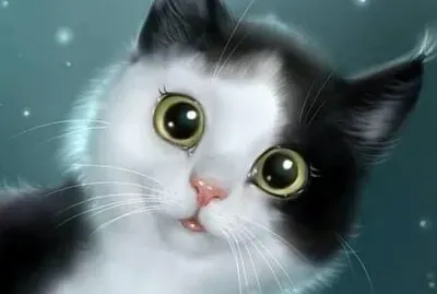 Gatito