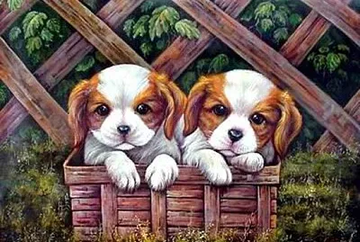 Perritos