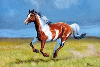 Caballo