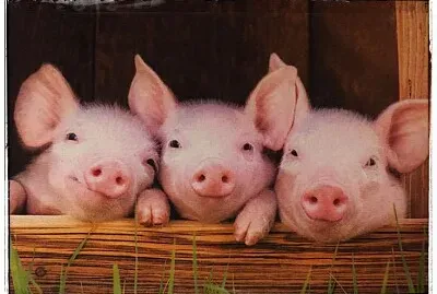 ❤️ jigsaw puzzle