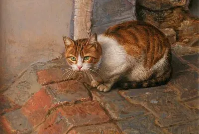 Minino