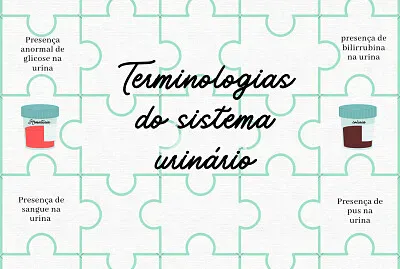 Terminologias do sistema urinário
