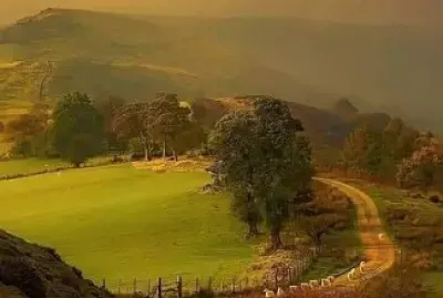 Amarillo jigsaw puzzle