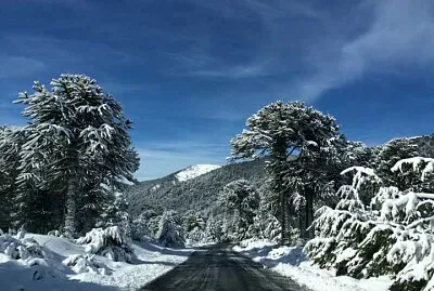 imagem jigsaw puzzle