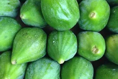 Puglia fioroni jigsaw puzzle