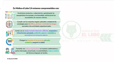 fondo jigsaw puzzle