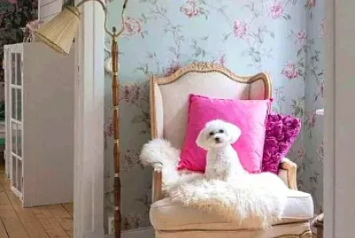perro